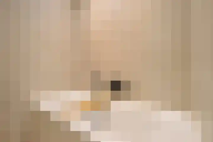 President Kennedylaan 222 2 Amsterdam thumbnail 27
