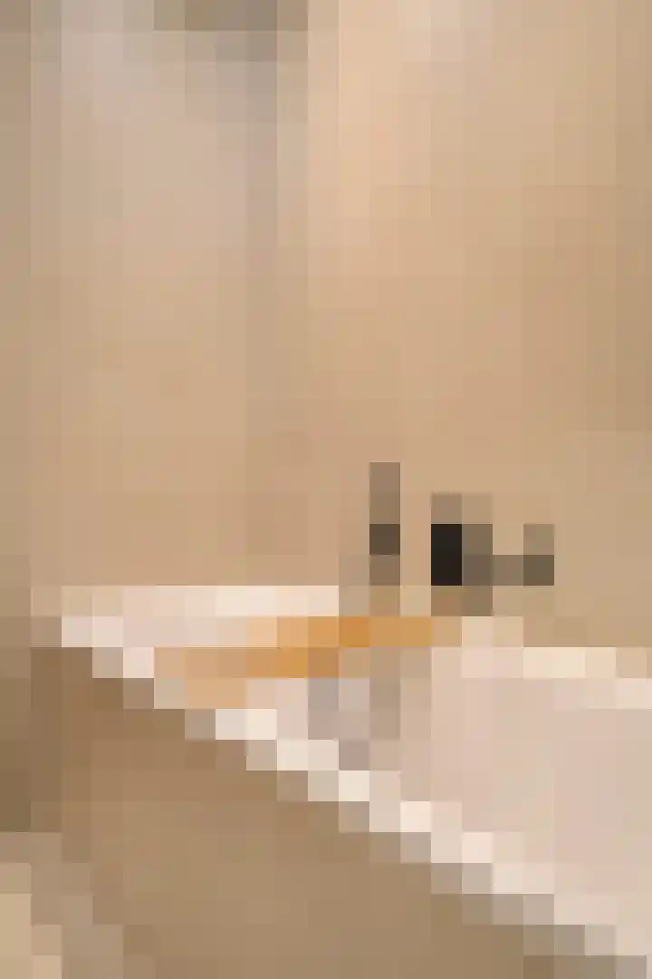 President Kennedylaan 222 2 Amsterdam thumbnail 28