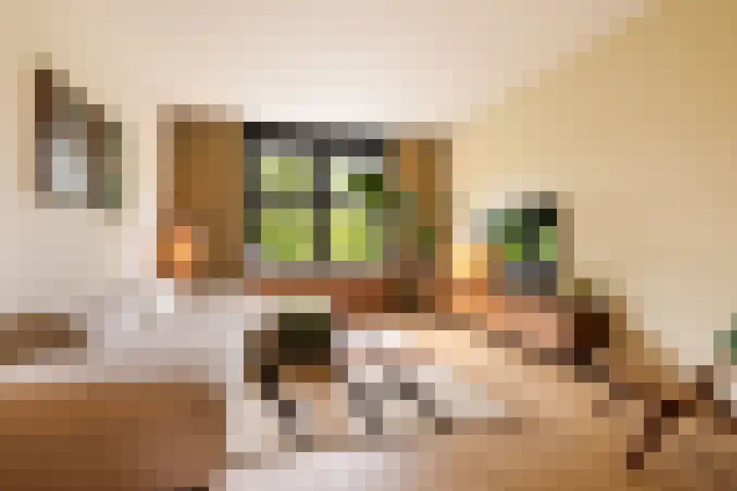 President Kennedylaan 228 2 Amsterdam thumbnail 8