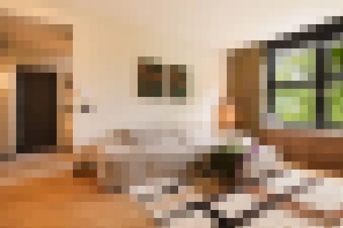 President Kennedylaan 228 2 Amsterdam thumbnail 9