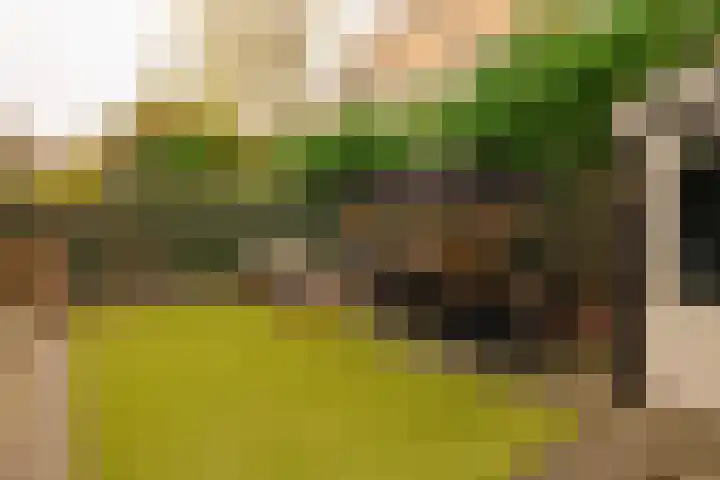 President Kennedylaan 230 H Amsterdam thumbnail 15