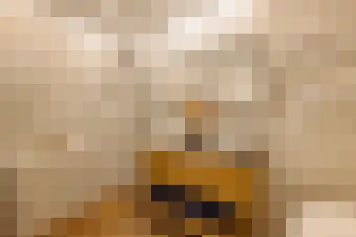 President Kennedylaan 230 H Amsterdam thumbnail 28