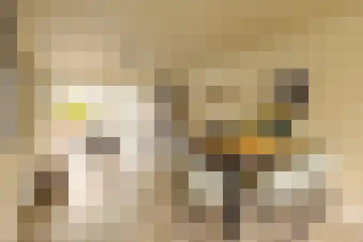 President Kennedylaan 230 H Amsterdam thumbnail 5