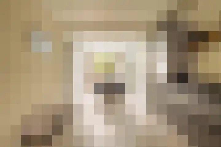 President Kennedylaan 230 H Amsterdam thumbnail 8