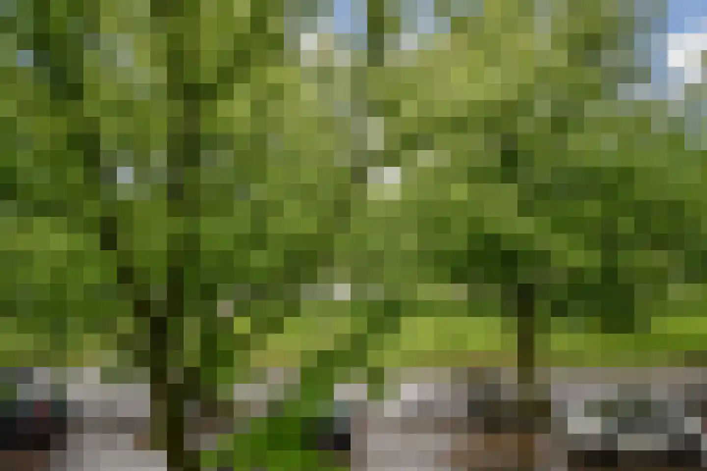 President Kennedylaan 236 H Amsterdam thumbnail 7