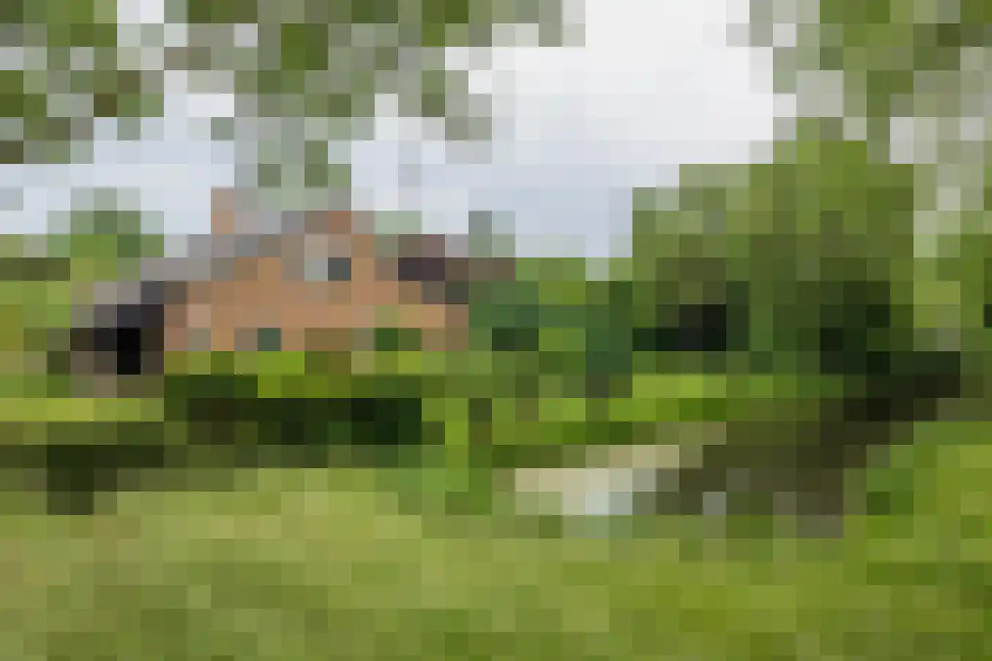 President Kennedylaan 250 Oegstgeest thumbnail 55