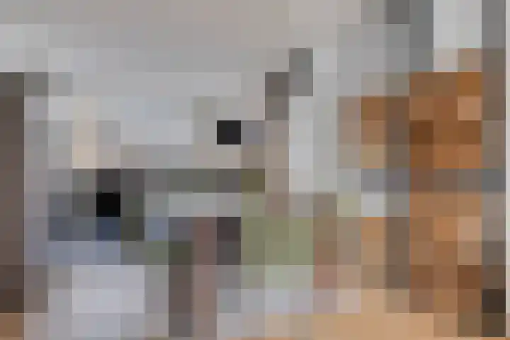 President Kennedylaan 26 Oegstgeest thumbnail 14