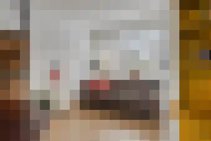 President Kennedylaan 26 Oegstgeest thumbnail 16