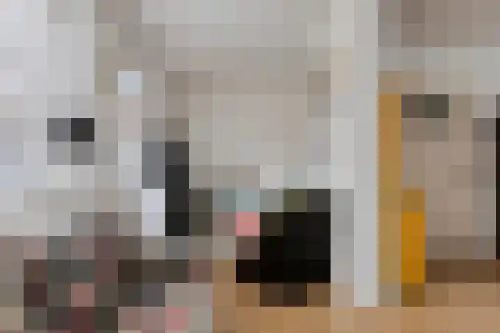 President Kennedylaan 26 Oegstgeest thumbnail 17