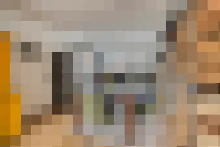 President Kennedylaan 26 Oegstgeest thumbnail 4