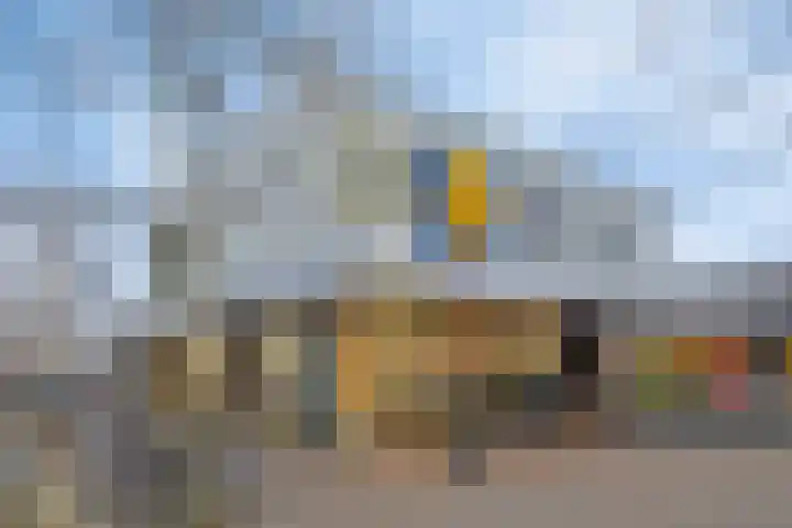 President Kennedylaan 26 Oegstgeest thumbnail 43