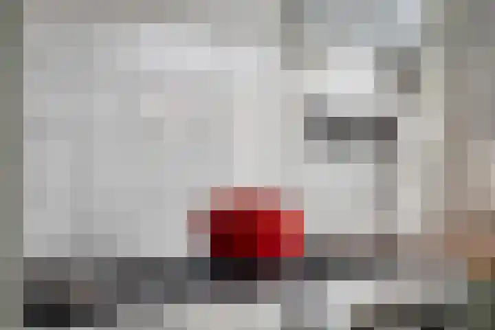 President Kennedylaan 26 Oegstgeest thumbnail 8