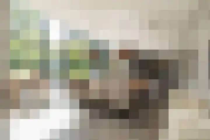 President Kennedylaan 260 A Oegstgeest thumbnail 10