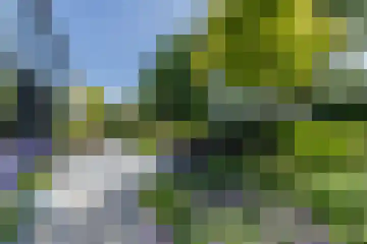 President Kennedylaan 260 A Oegstgeest thumbnail 15