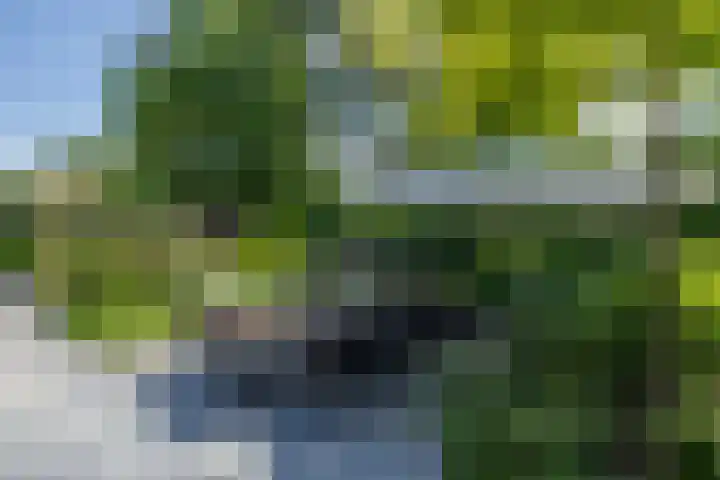 President Kennedylaan 260 A Oegstgeest thumbnail 16