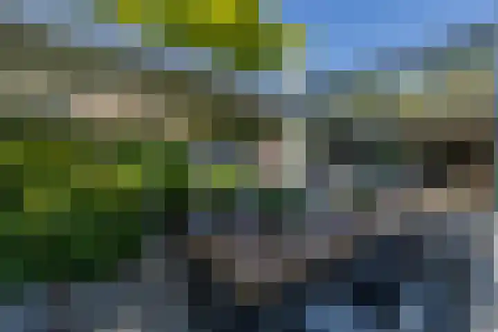 President Kennedylaan 260 A Oegstgeest thumbnail 17