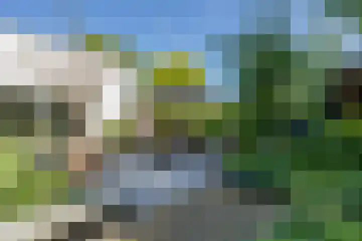 President Kennedylaan 260 A Oegstgeest thumbnail 18