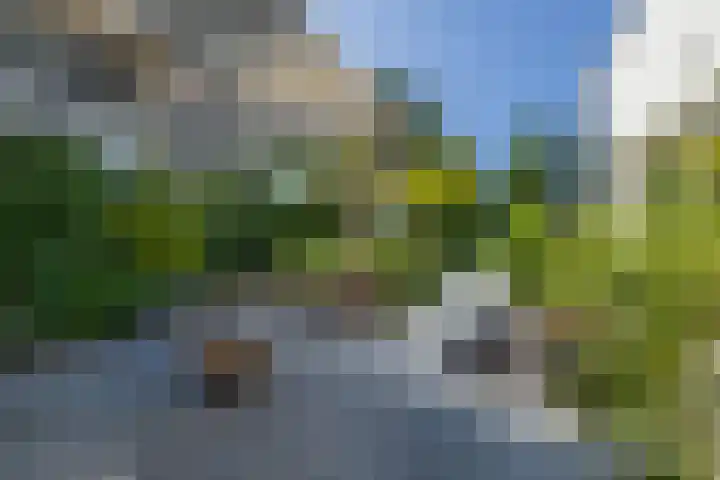 President Kennedylaan 260 A Oegstgeest thumbnail 19