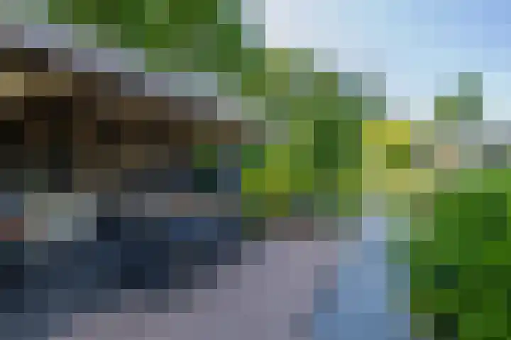 President Kennedylaan 260 A Oegstgeest thumbnail 22