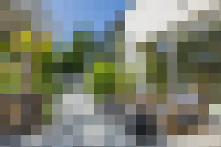 President Kennedylaan 260 A Oegstgeest thumbnail 24