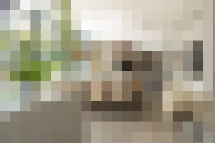 President Kennedylaan 260 A Oegstgeest thumbnail 9