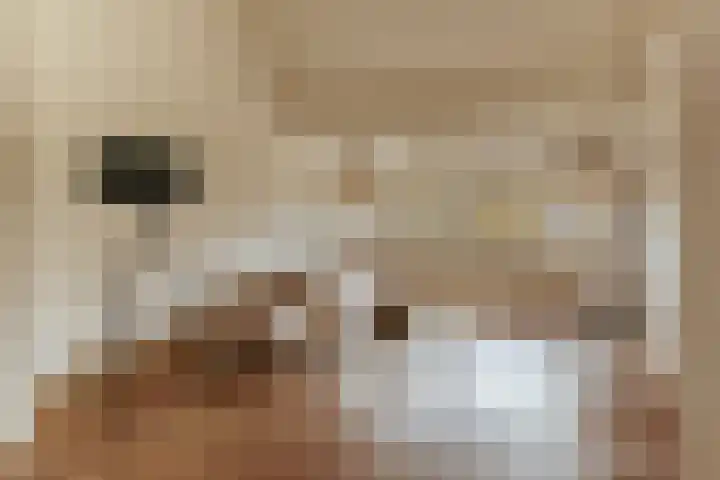 President Kennedylaan 270 4 Amsterdam thumbnail 5