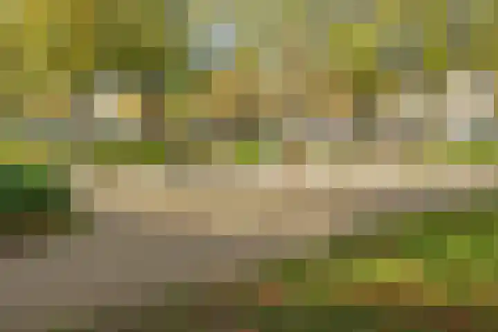 President Kennedylaan 272 2 Amsterdam thumbnail 33