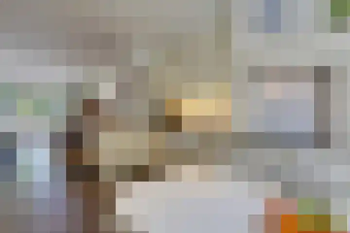 President Kennedylaan 3 Velp thumbnail 11