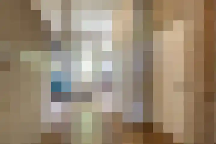 President Kennedylaan 3 Velp thumbnail 17