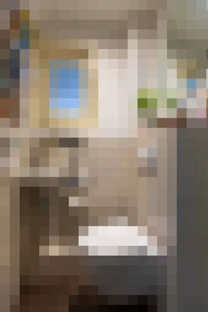 President Kennedylaan 3 Velp thumbnail 20