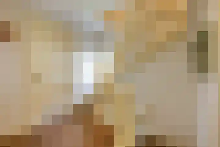 President Kennedylaan 3 Velp thumbnail 27