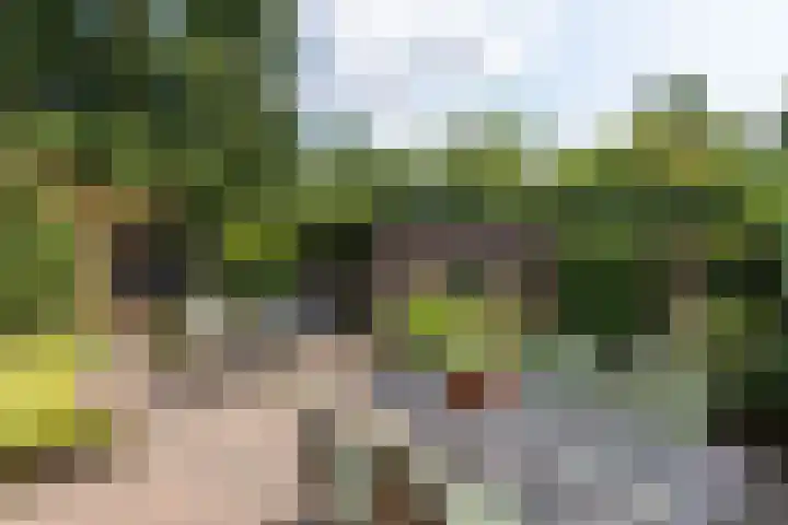President Kennedylaan 3 Velp thumbnail 30