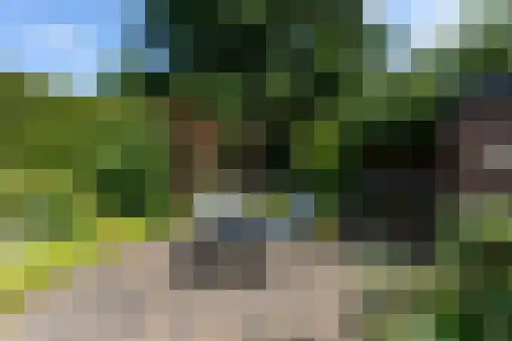 President Kennedylaan 3 Velp thumbnail 31