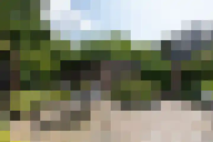 President Kennedylaan 3 Velp thumbnail 32
