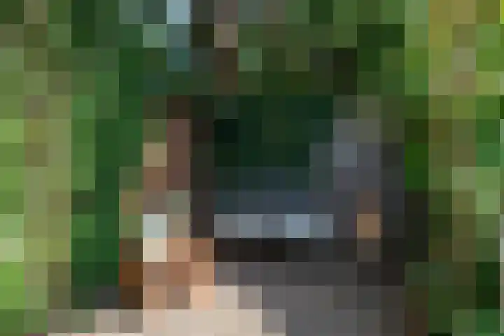 President Kennedylaan 3 Velp thumbnail 33