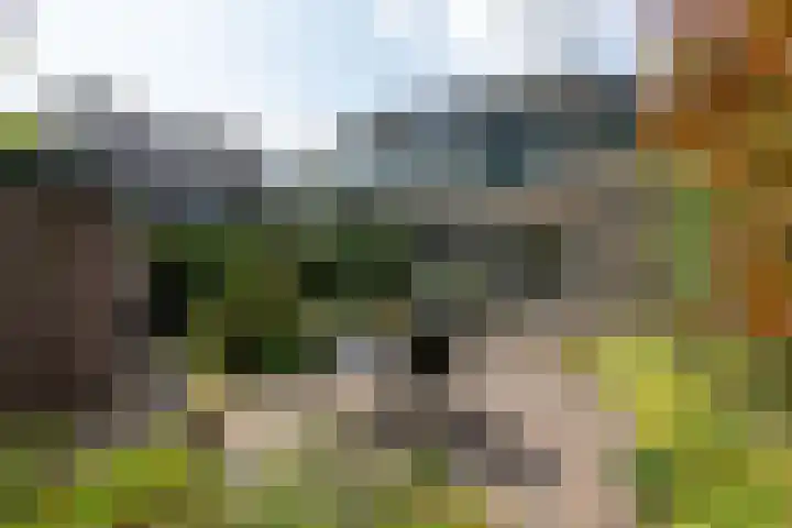 President Kennedylaan 3 Velp thumbnail 36