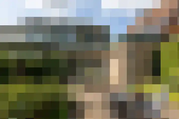 President Kennedylaan 3 Velp thumbnail 37