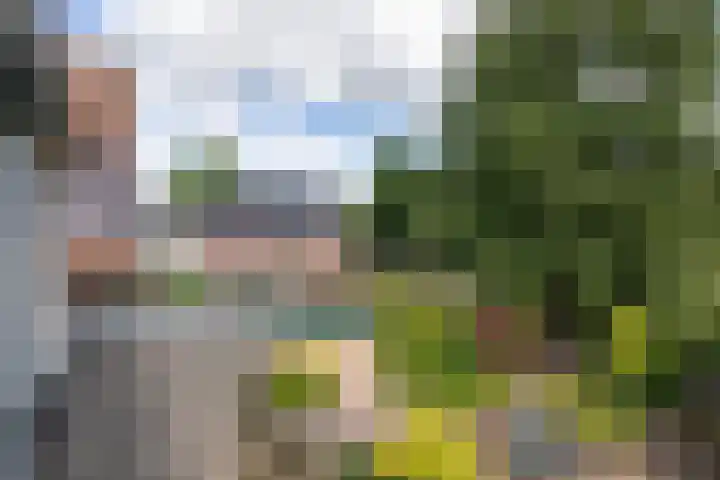 President Kennedylaan 3 Velp thumbnail 38