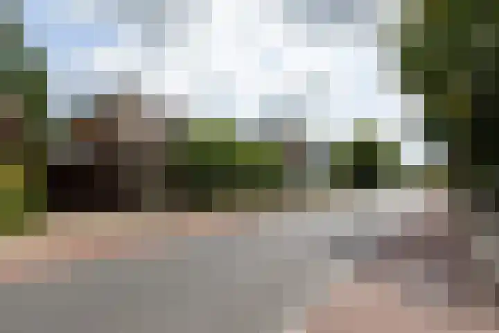President Kennedylaan 3 Velp thumbnail 39