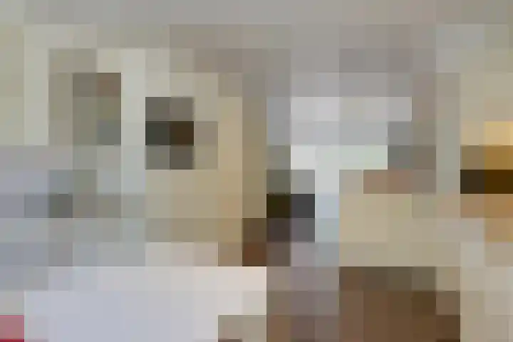 President Kennedylaan 3 Velp thumbnail 5
