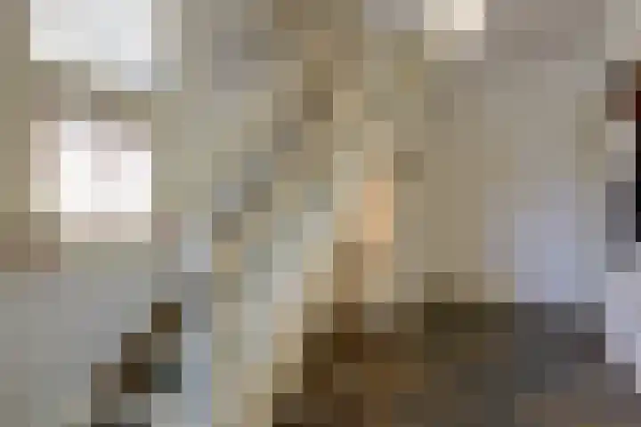President Kennedylaan 3 Velp thumbnail 8