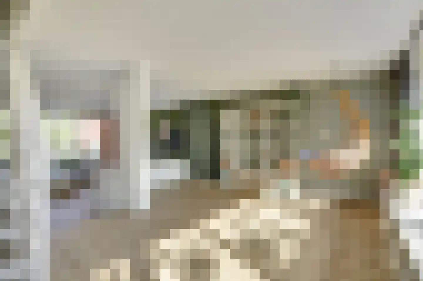 President Kennedylaan 305 Velp thumbnail 11