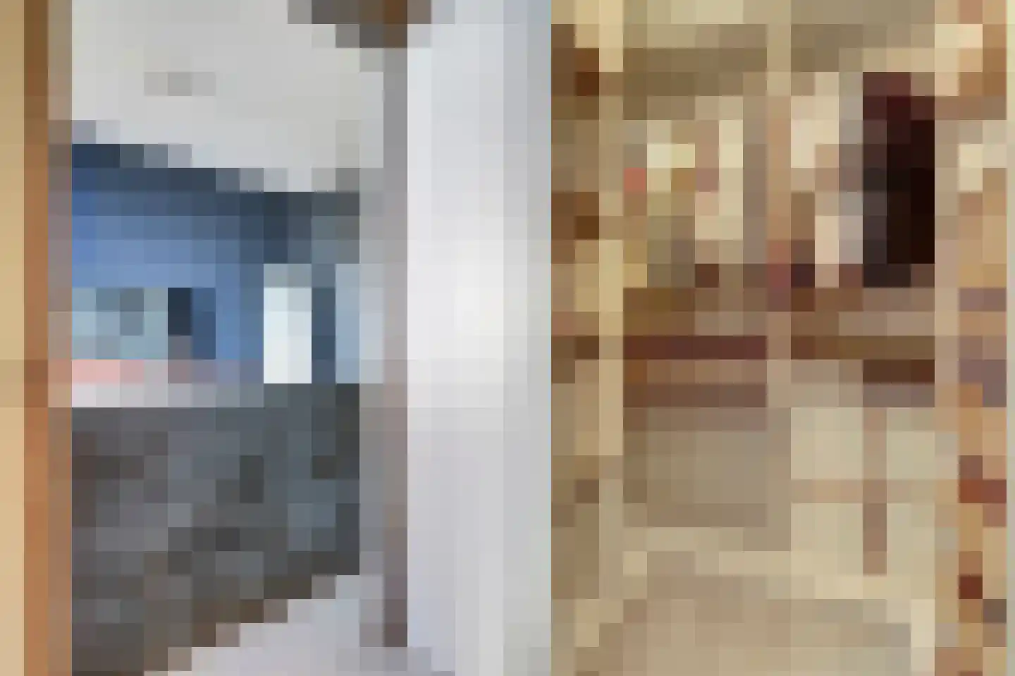 President Kennedylaan 305 Velp thumbnail 15