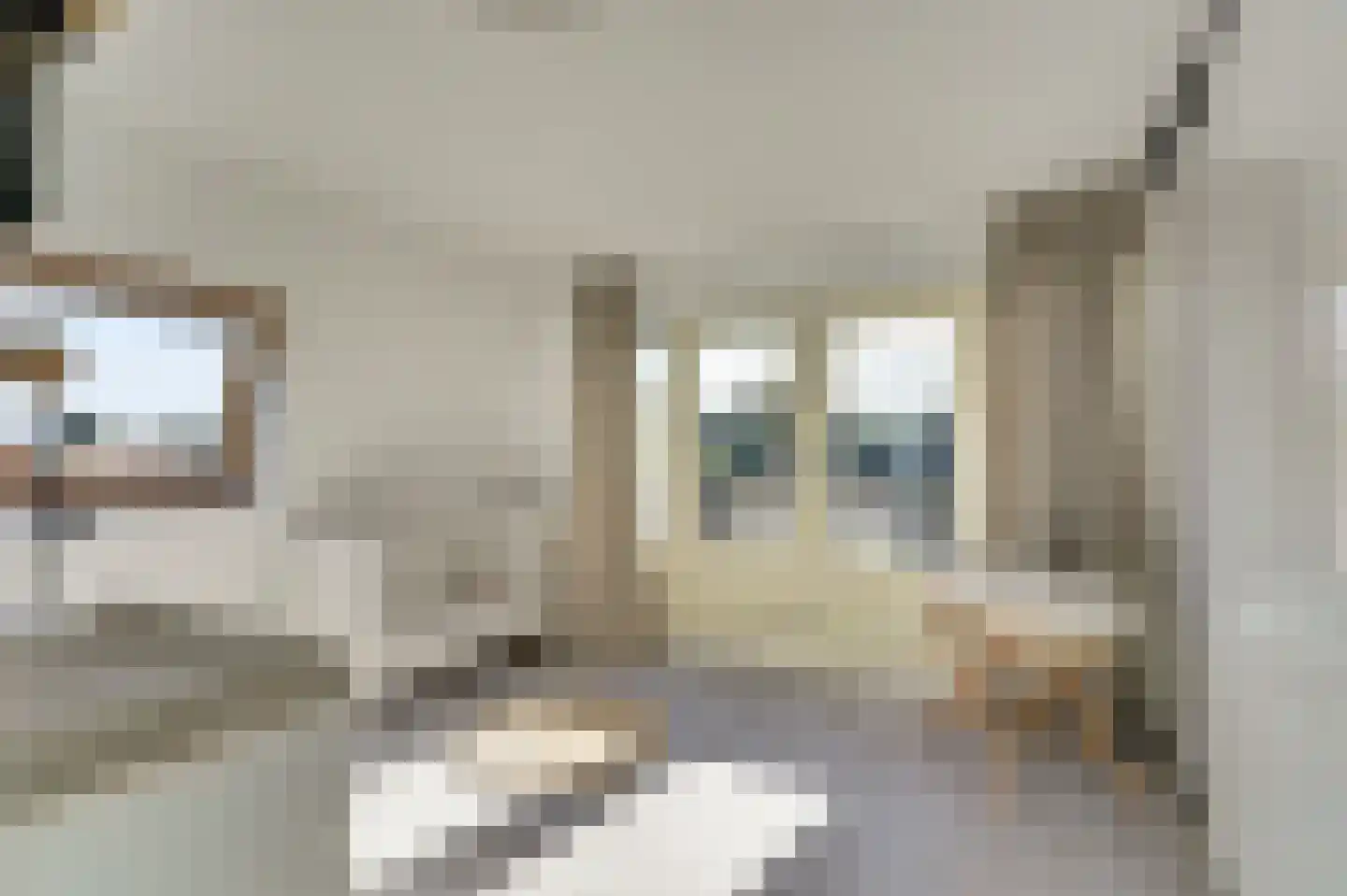 President Kennedylaan 305 Velp thumbnail 23