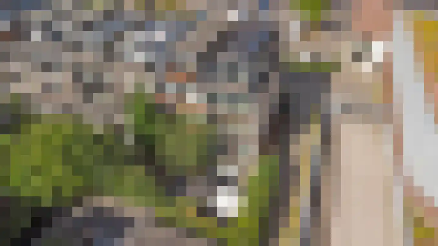 President Kennedylaan 305 Velp thumbnail 34