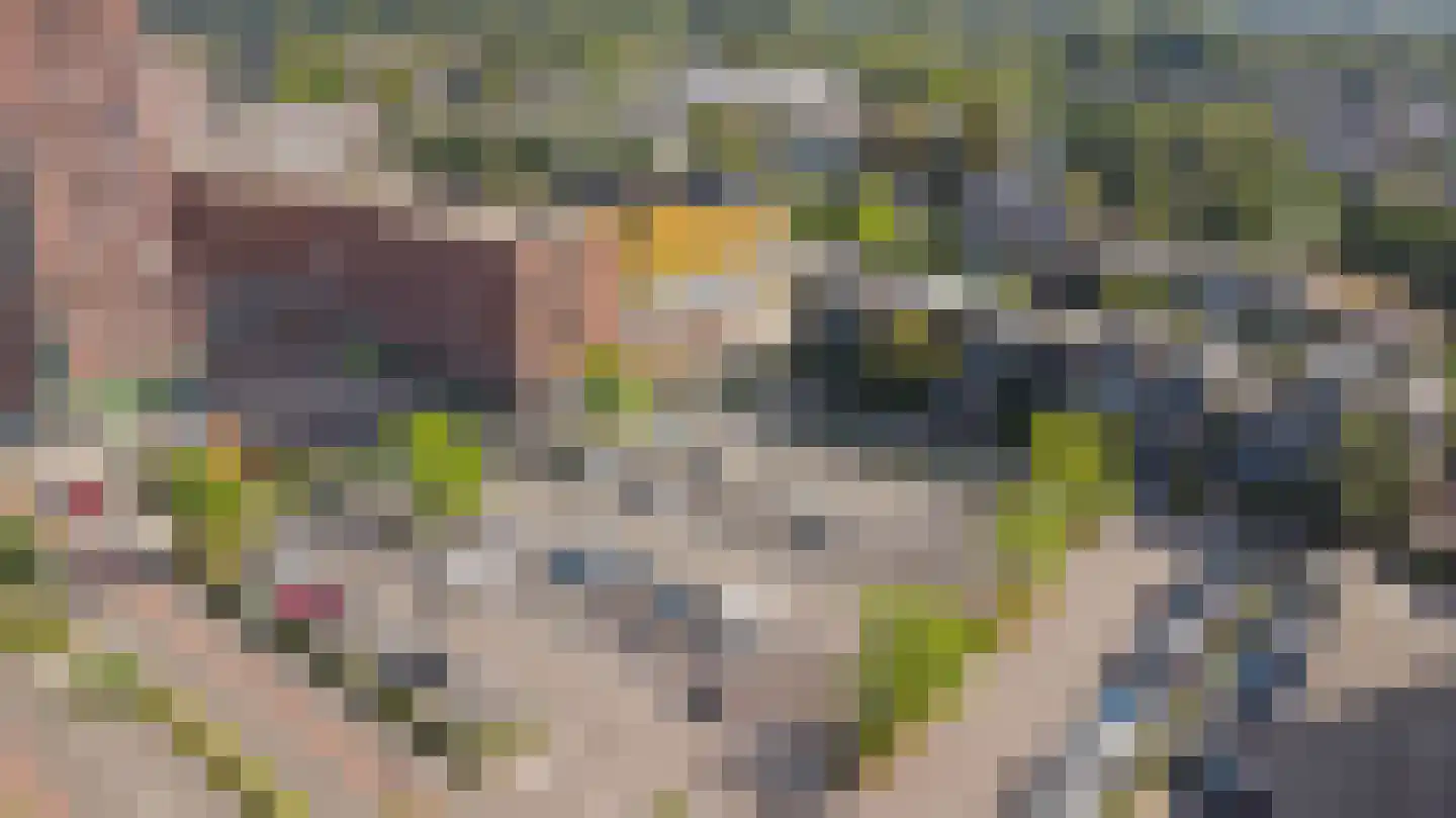 President Kennedylaan 305 Velp thumbnail 35