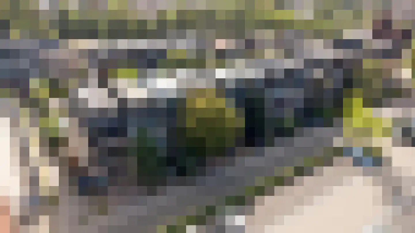 President Kennedylaan 305 Velp thumbnail 36