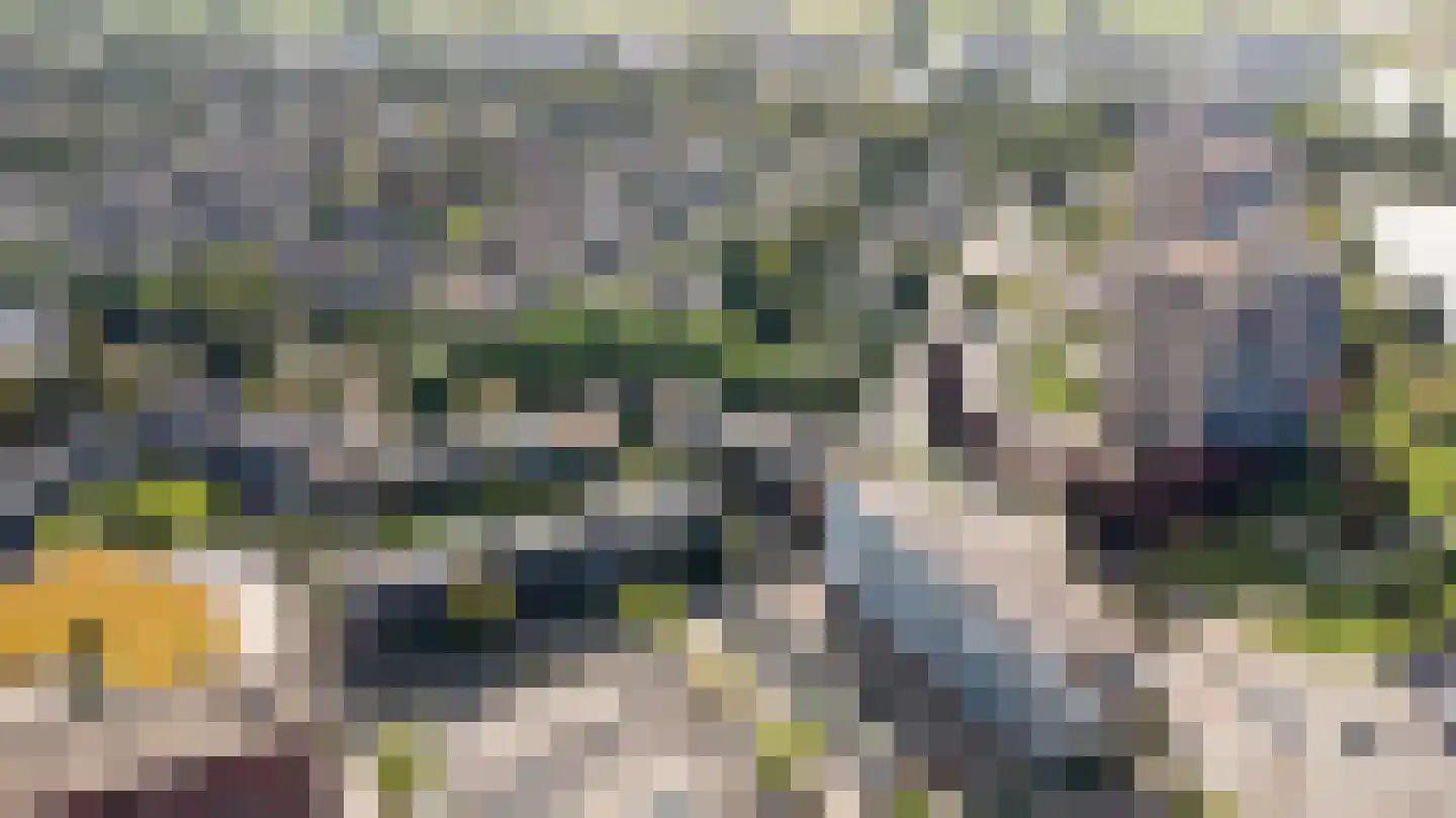 President Kennedylaan 305 Velp thumbnail 38
