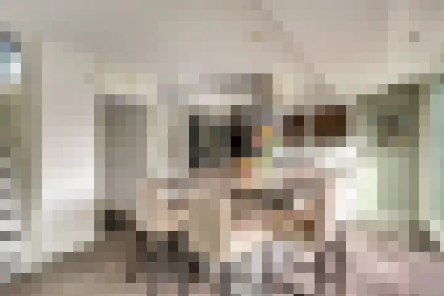 President Kennedylaan 305 Velp thumbnail 9