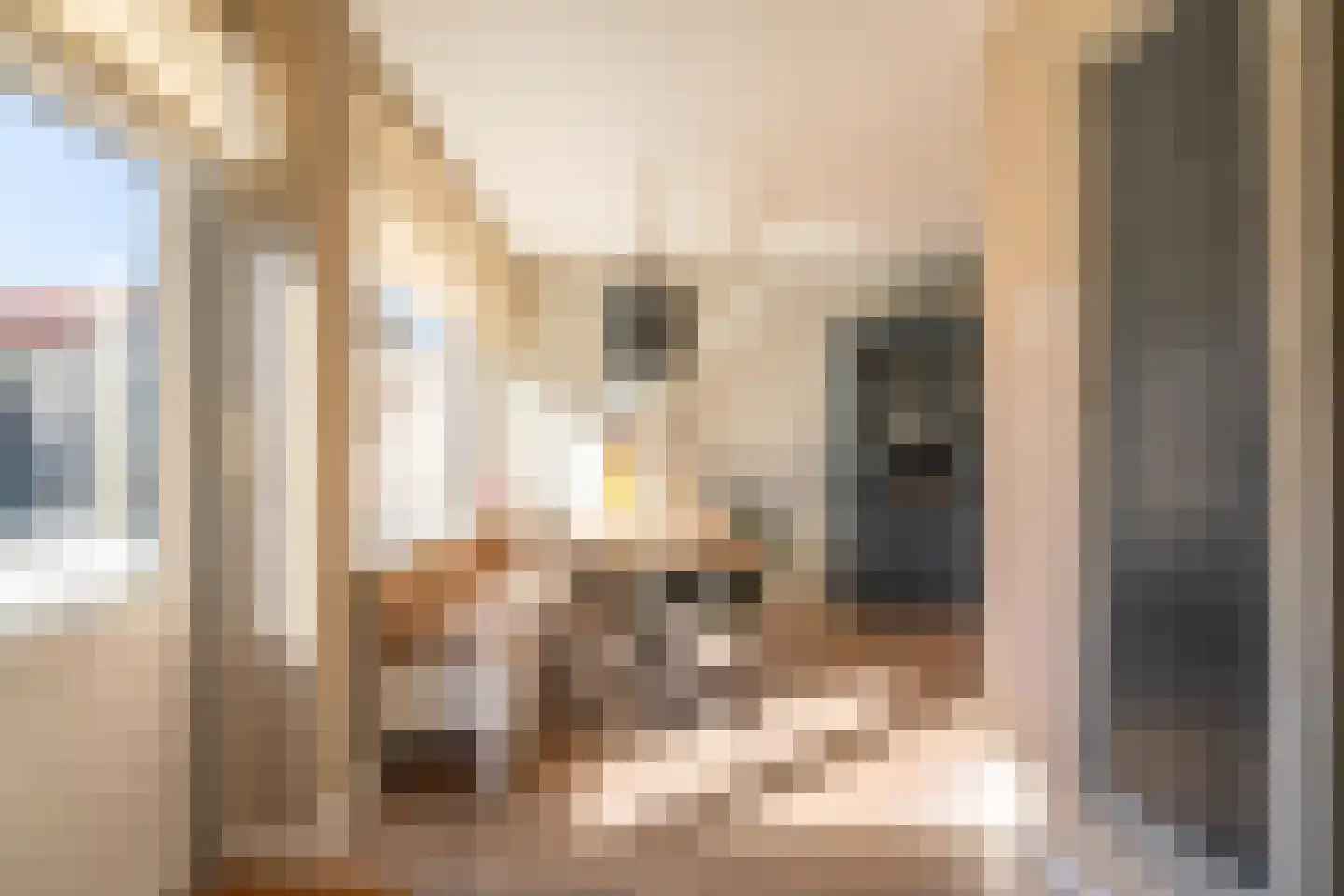 President Kennedylaan 32 Oegstgeest thumbnail 9